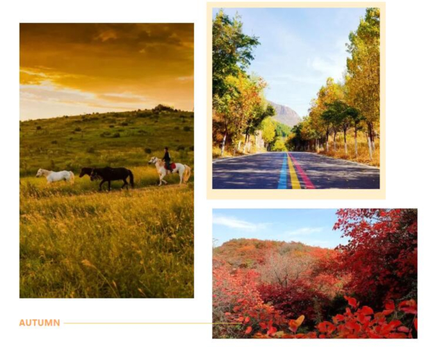 QQ��ͼ20240923105609 (2).jpg