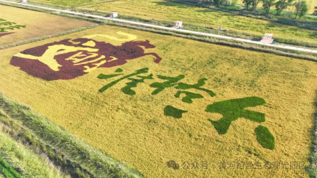 ΢��ͼƬ_20241011133508 (2).jpg