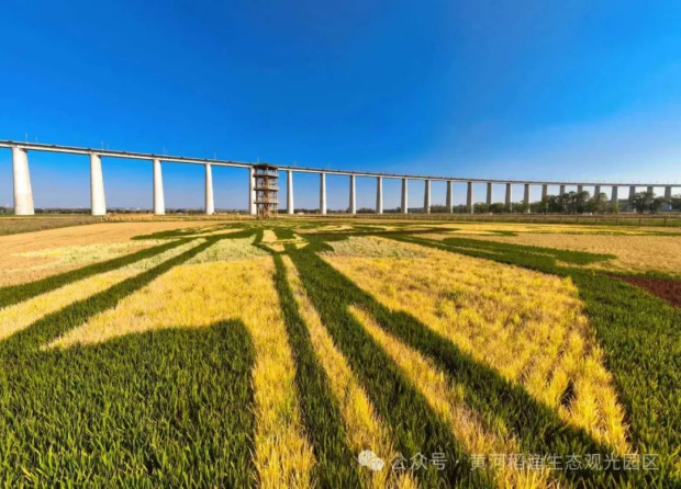 ΢��ͼƬ_20241011133502 (2).jpg