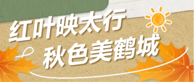 ΢�Ž�ͼ_20241028085800 (2).jpg