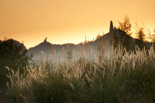 微信截图_20241220140842 (2).jpg 微信截图_20241220140842 (2).jpg