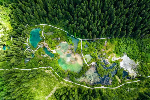 image037 (2).jpg image037 (2).jpg